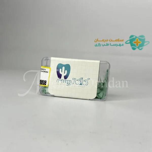 خرید وج چوبی کاکتوس ایران